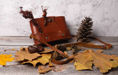 vintage postcard with a retro camera in a leather caseの写真素材