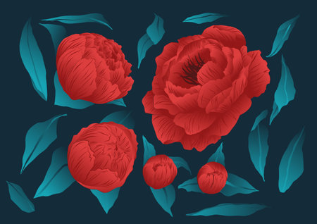 Set of floral elements, red flowers resource. Vectorized roses in red and green colors.のイラスト素材