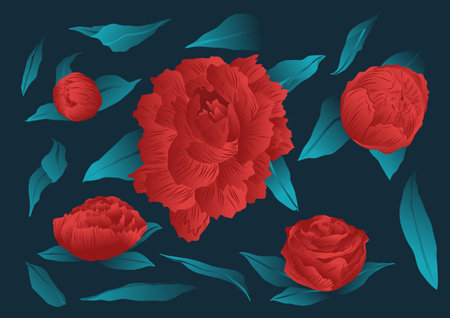 Set of floral elements, roses resource, red flowers. Vectorized roses in red and green colorsのイラスト素材