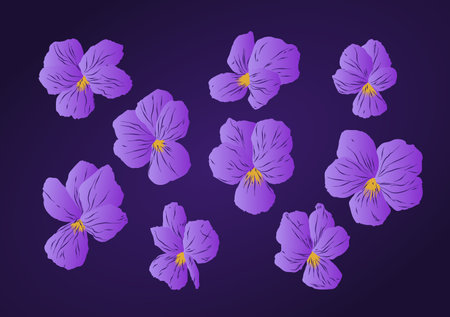 Set of floral elements, violet, purple flowers resource. Vectorized violets in purple, lilac and yellow colors.のイラスト素材