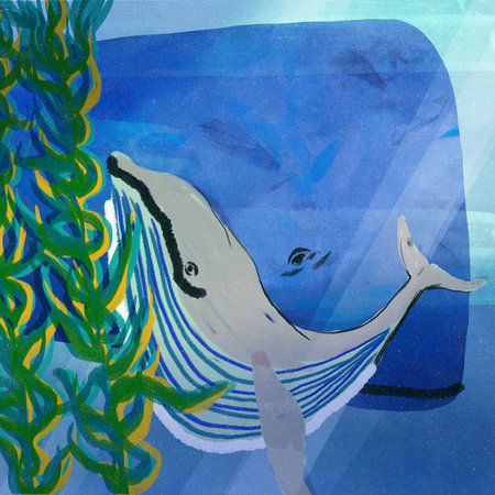 Whale illustration with seaweed gardenの写真素材