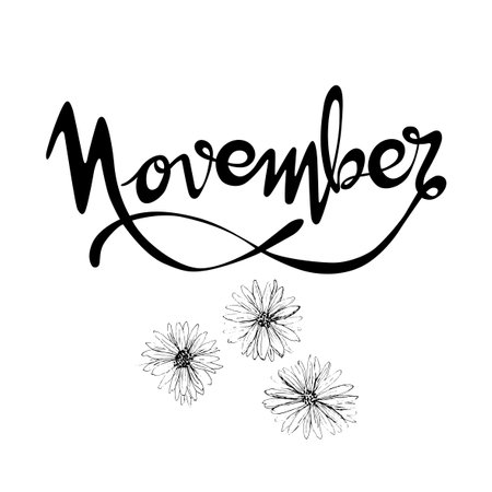 Handwritten and vectorized lettering sign "November". Graphic resource on white background, November month of the year with Aster flowersのイラスト素材
