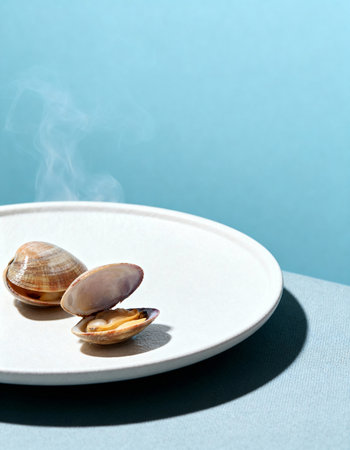 Three clams on a white plate on a blue background with copy spaceの素材