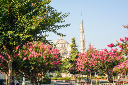 santa sofia mosque at Istanbul , Turkeyの写真素材