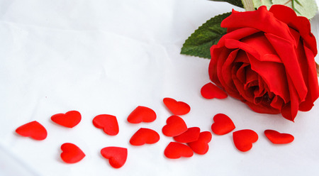 valentine's day background: roses and heartsの写真素材