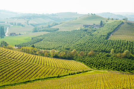 Landscape of langhe, Piedmont, Italyのeditorial素材