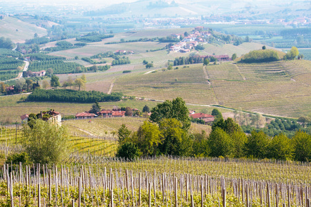 Landscape of langhe, Piedmont, Italyのeditorial素材