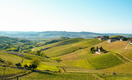 Landscape of langhe, Piedmont, Italyのeditorial素材