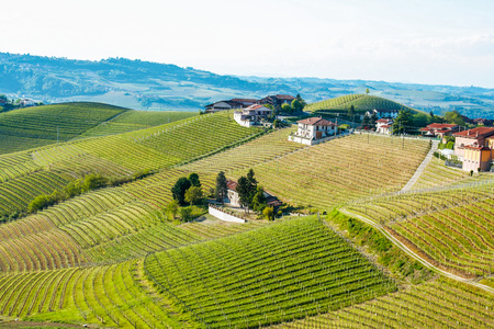 Landscape of langhe, Piedmont, Italyのeditorial素材