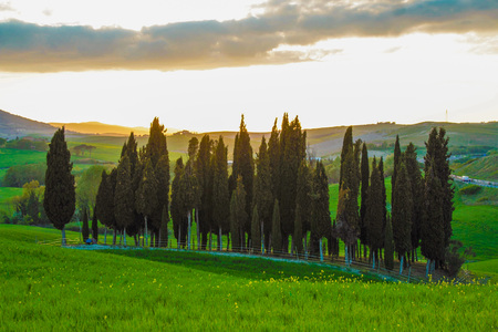 Landscape of tuscan countryside, Val d'Orcia, Sienaの写真素材
