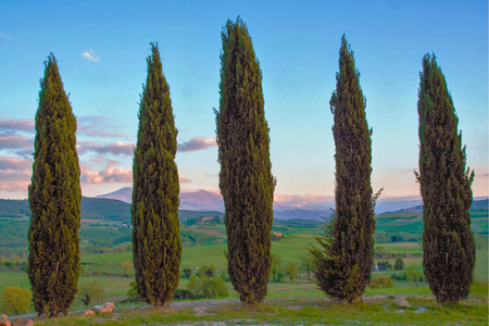 Landscape of tuscan countryside, Val d'Orcia, Sienaの写真素材