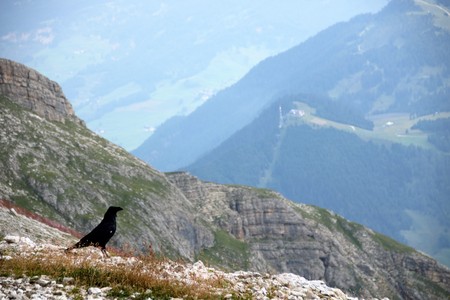 Landscape of Dolomites mountain at Piz Boe  in Sud Tyrol, Alto Adige, Italyの写真素材