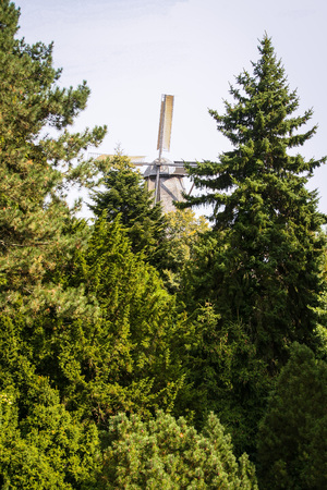 The windmill in sanssouci park, surrounded by its wonderful park in summer