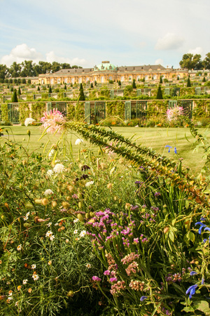 AT POTSDAM - BRANDENBURG - GERMANY - ON 08/29/2013 - Sanssouci palace, surrounded by its wonderful park in summerのeditorial素材