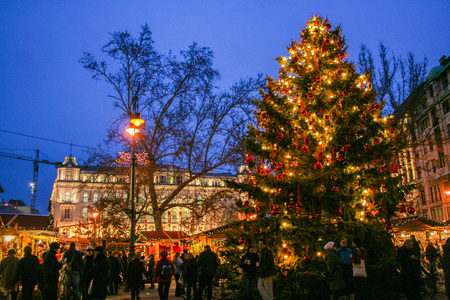 AT Budapest - On 11/12(2007 - Christmas market on Vorosmarty Square at Budapest, Hungaryのeditorial素材
