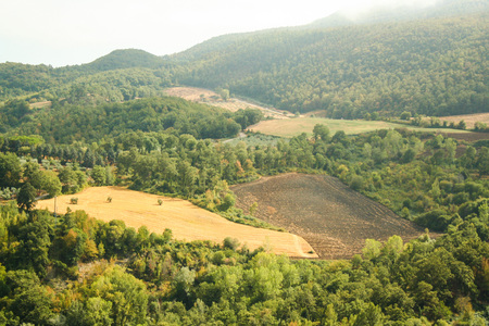 Tuscan countryside in Val d'Orcia, Siena, Italyの写真素材
