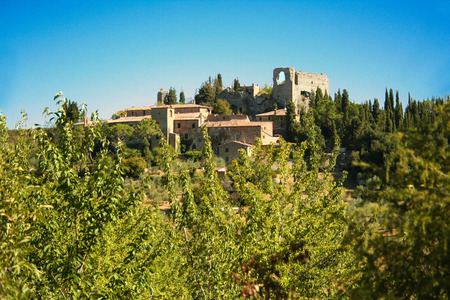Tuscan vineyard in Val d'Orcia, Siena, Italyのeditorial素材