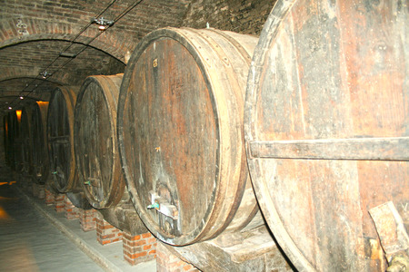 the cellar in the benedectine Abbey of Monte Oliveto Maggiore in Tuscany, Italy