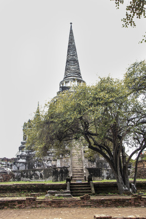 Buddhist temple called Wat Phra Si Sanphet or Temple of the Holy, Splendid Omniscient
 in the city of Ayutthaya Historical Park, Thailandの写真素材