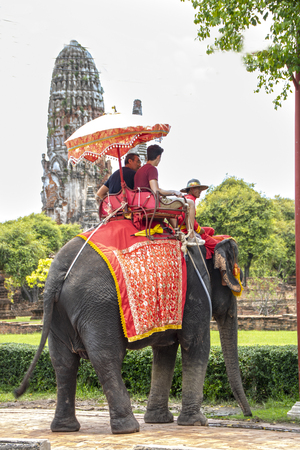 At Ayutthaya - Thailand - On august - 2018 -  tour on elephant in the Historical Park,のeditorial素材