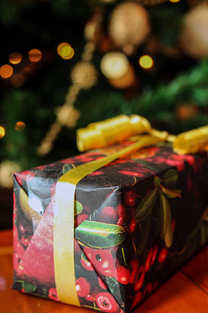 gift under the christmas treeの写真素材