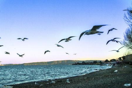 Lake of Bracciano, Rome, Lazio, Italyの写真素材