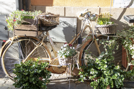 vintage bycicle decorated with plant potsの写真素材