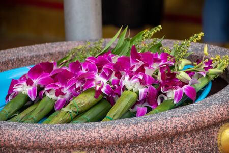 bunch of orchids as a religious offering in the temple of Kanchanaburi, Thailandの写真素材