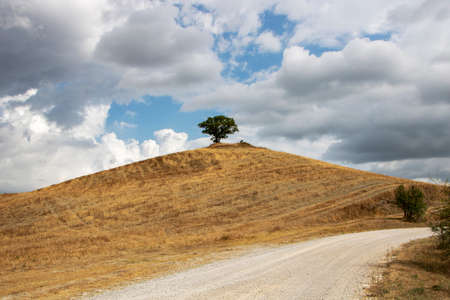 At San Quirico d'Orcia - Italy - On august 2020 - Landscape of Tuscan countryside with wheat fields...