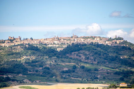 At Montalcino - Italy - On august 2020 - vineyard in tuscan countrysideの写真素材