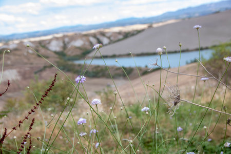 At Asciano - Italy - On august 2020 - Landscape of Tuscan countryside in Val d'Orciaの写真素材