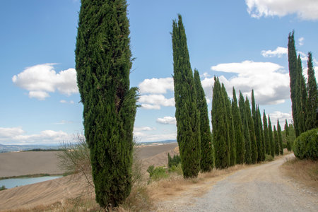 At Asciano - Italy - On august 2020 - Landscape of Tuscan countryside in Val d'Orciaの写真素材