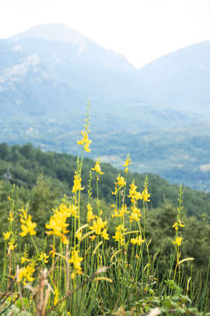 Landscape of Pollino national park, Basilicata region, Italy