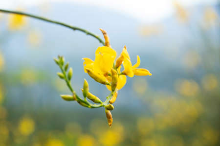Sunset in Pollino national park, Basilicata region, Italyの写真素材