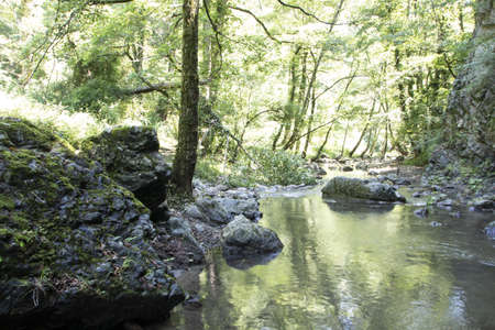 Peschiera torrent flowing in Bosco Magnano wood, in Pollino national park, a wide natural reserve in...