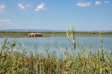The Vendicari Nature Reserve wildlife oasis, located between Noto and Marzamemi, Sicily, Italy