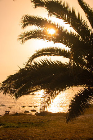 Landscape of Samil beach and coastline of Rias baixas in Galicia, at Vigo, Spainの写真素材