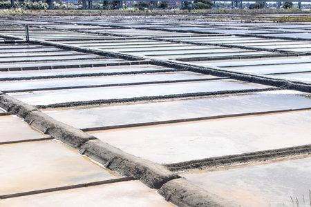 Salt Pans of Aveiro, known as Salinas de Aveiro, Portugalの写真素材