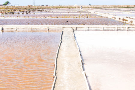 Salt Pans of Aveiro, known as Salinas de Aveiro, Portugal