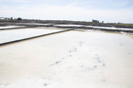 Salt Pans of Aveiro, known as Salinas de Aveiro, Portugal
