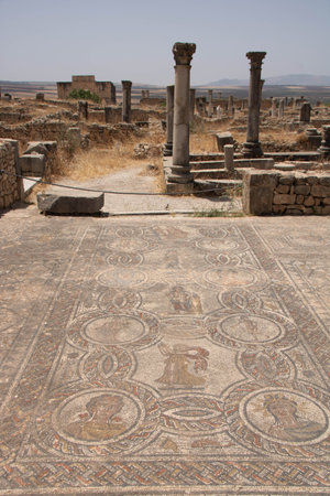 The Archaeological Site of Volubilis in the province of Meknes, Moroccoの写真素材