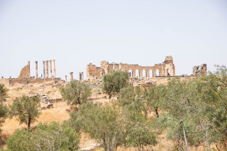 The Archaeological Site of Volubilis in the province of Meknes, Moroccoの写真素材