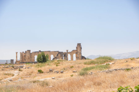 The Archaeological Site of Volubilis in the province of Meknes, Moroccoの写真素材