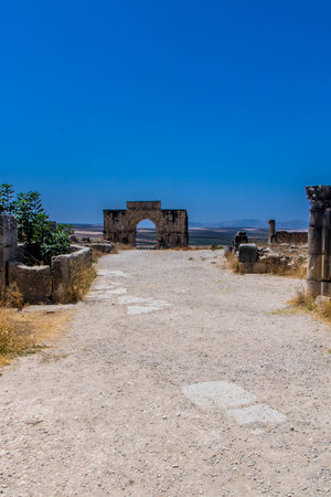 The Archaeological Site of Volubilis in the province of Meknes, Moroccoの写真素材