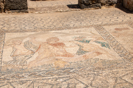 The Archaeological Site of Volubilis in the province of Meknes, Moroccoの写真素材
