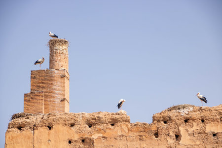 El Badi Palace or Badi' Palace in Marrakech, Moroccoの写真素材
