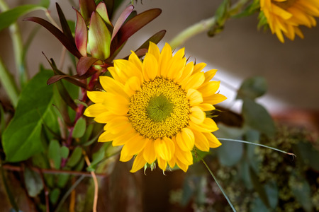Sunflower Bouquetの写真素材