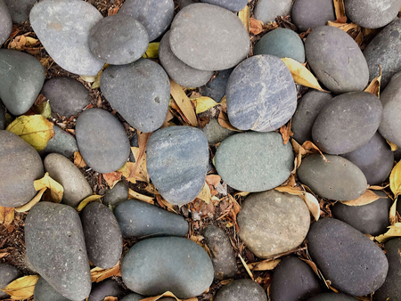 Overhead shot of Stones and Autumn Leavesの写真素材