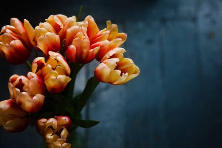 Bouquet of Orange and Yellow Tulips in a Vase on a Dark Wooden Backgroundの写真素材