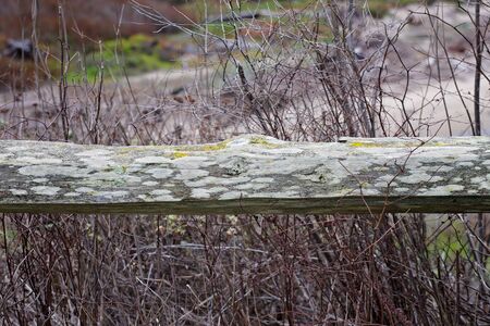 Wooden Gate in Front of Nature Preserve at San Gregorio State Lagoon and Beach Parkの写真素材
